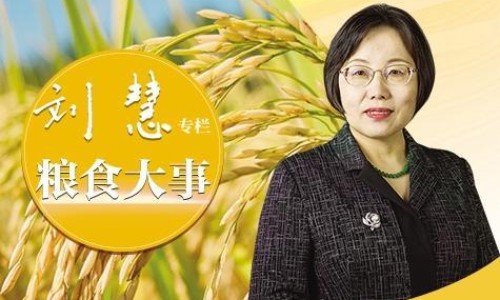 小苏打的用法-小苏打的吃法网—知名的食用小苏打的正确吃法网站,分享小苏打怎么做食物知识