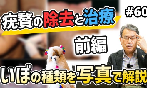 小苏打的吃法与用量-小苏打的吃法网—知名的食用小苏打的正确吃法网站,分享小苏打怎么做食物知识